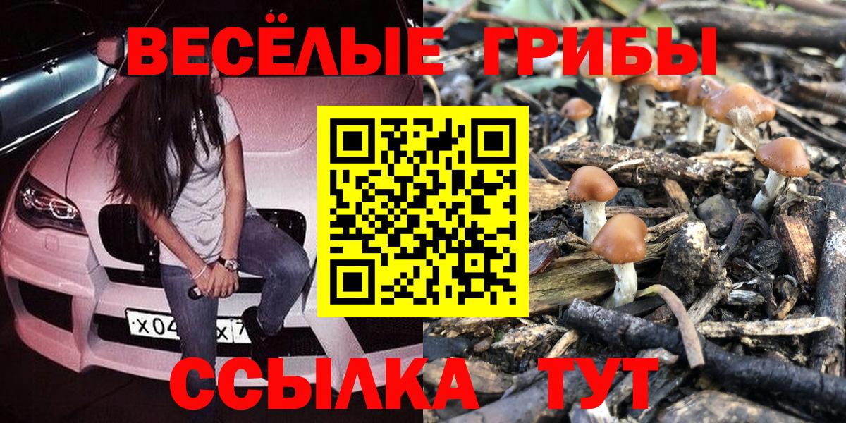 Галлюциногенные грибы прущие грибы Тосно