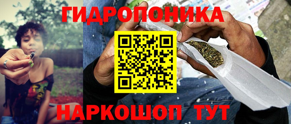 Канабис сатива Тосно